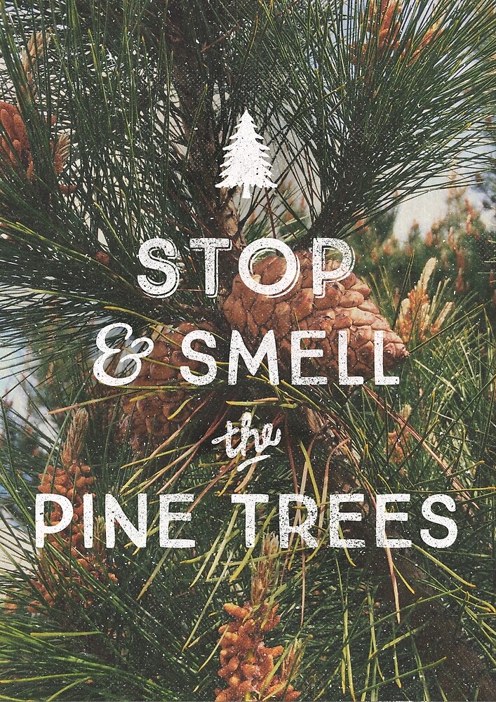 "STOP & SMELL THE PINE TREES" by cabinsupplyco Redbubble