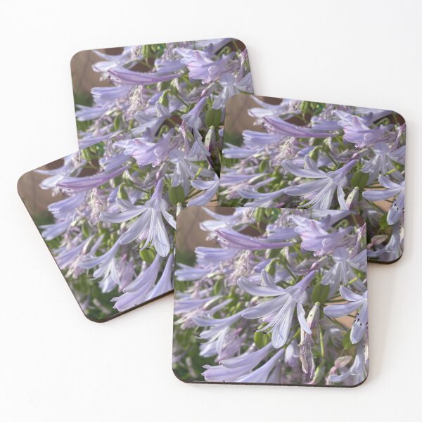 Item preview, Agapanthus designed and sold by vonJohnstonArt.