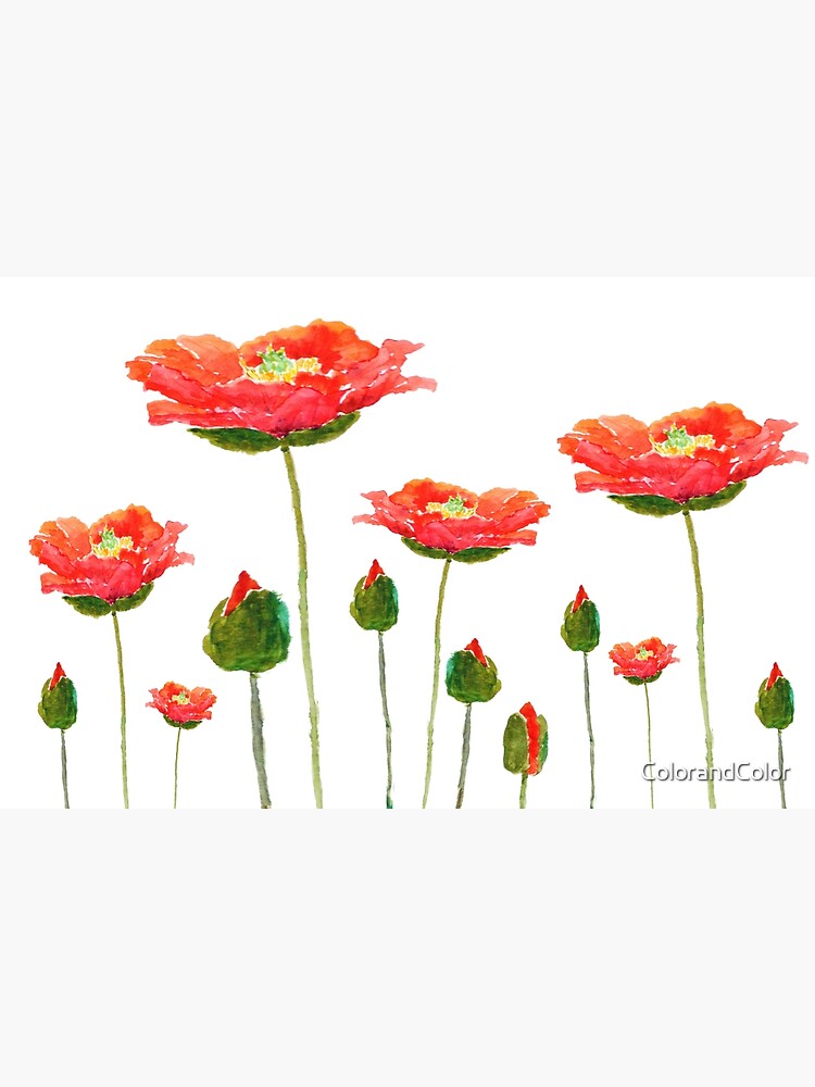 "bright orange poppies " Canvas Print for Sale by ColorandColor Redbubble