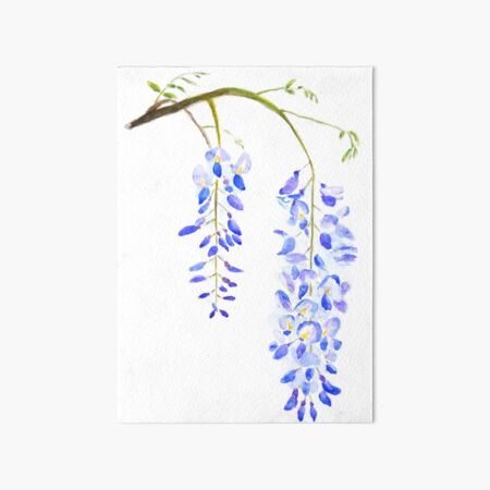 purple wisteria Art Board Print