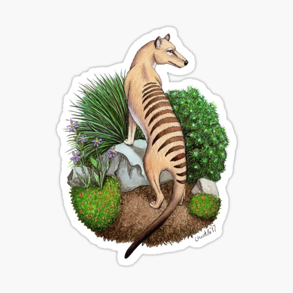 Thylacine Sticker