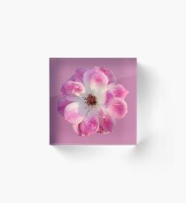 Pink and White Rose Acrylic Block