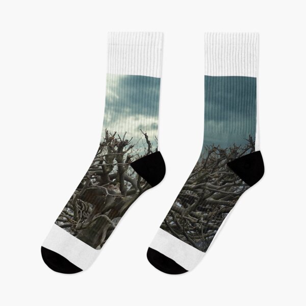 Item preview, tree branches detail nature background  designed and sold by goceris.