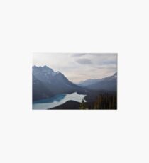 Mountain Lake Forest Dream Art Board