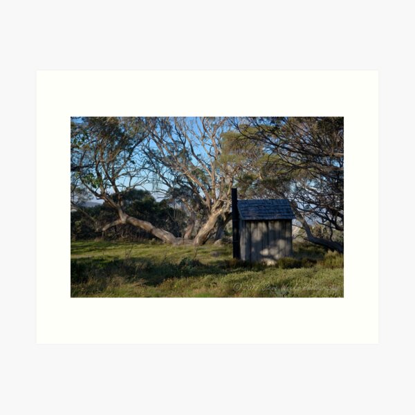 Item preview, Wallace Hut dunny designed and sold by Steven Weeks.