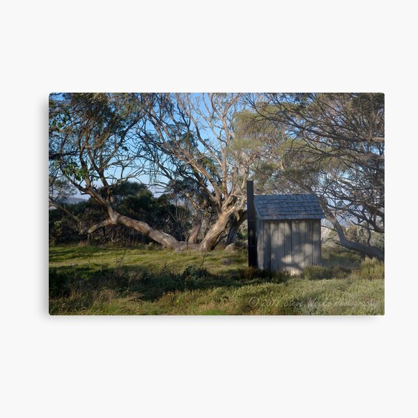 Wallace Hut dunny Metal Print