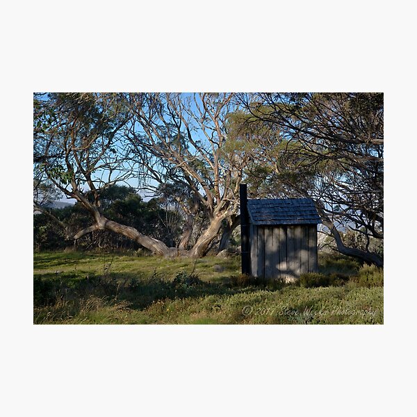 Item preview, Wallace Hut dunny designed and sold by Steven Weeks.