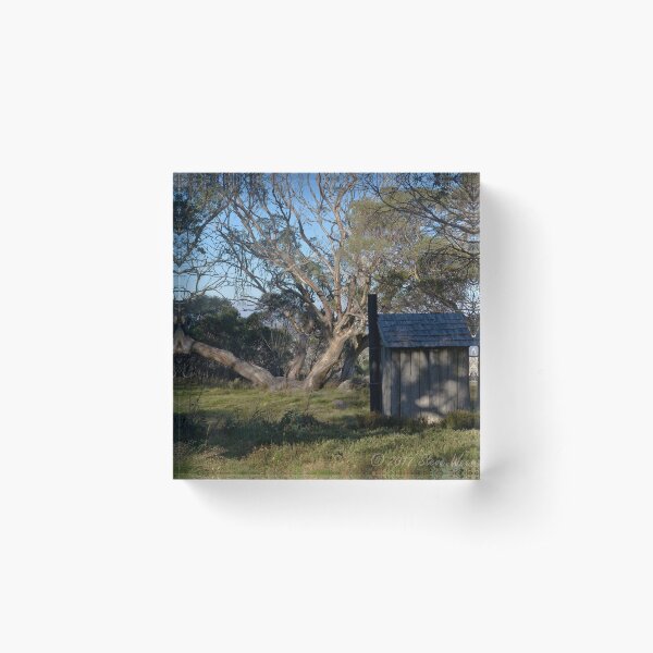 Item preview, Wallace Hut dunny designed and sold by Steven Weeks.