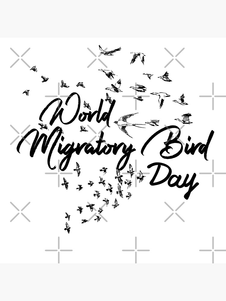 "World migratory Bird day" Poster for Sale by djahidart Redbubble