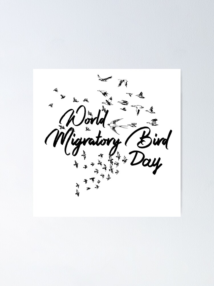 "World migratory Bird day" Poster for Sale by djahidart Redbubble