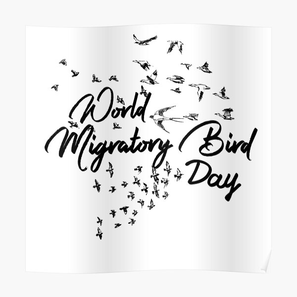 "World migratory Bird day" Poster for Sale by djahidart Redbubble