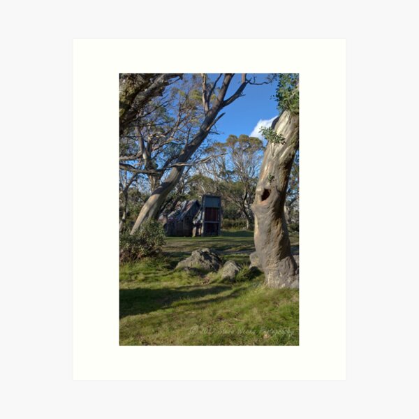 Item preview, Wallace Hut designed and sold by Steven Weeks.