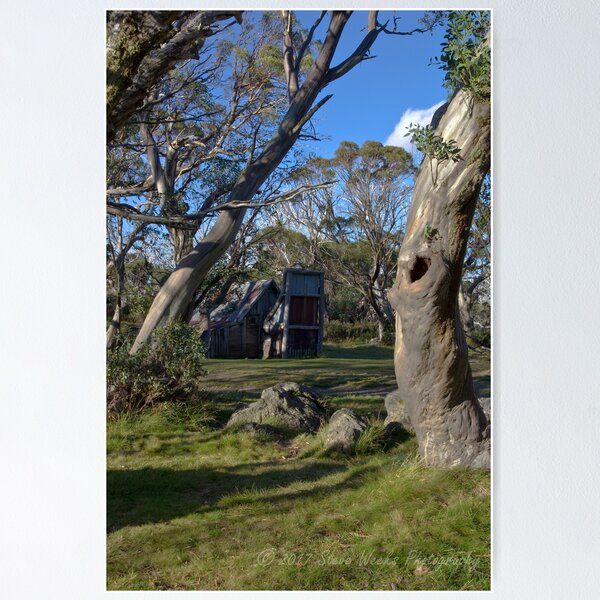 Item preview, Wallace Hut designed and sold by Steven Weeks.