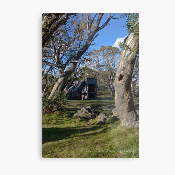 Wallace Hut Metal Print
