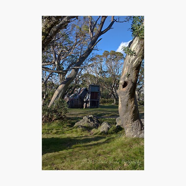 Item preview, Wallace Hut designed and sold by Steven Weeks.