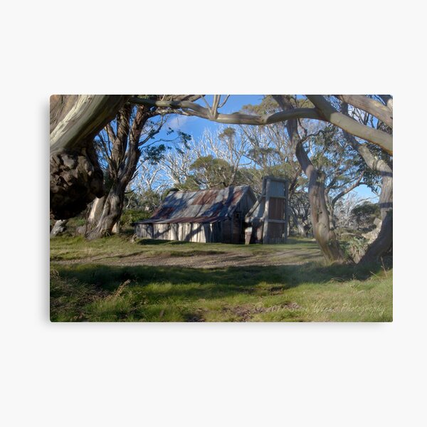 Wallace Hut Metal Print