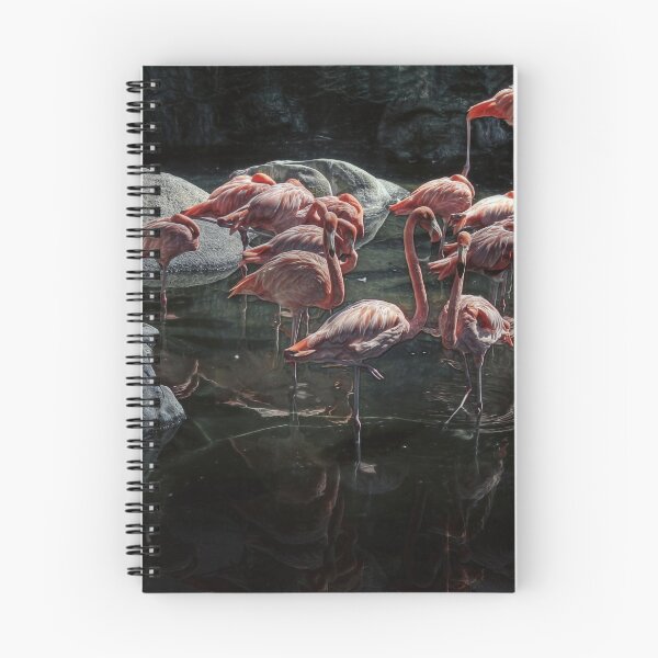 Item preview, flamingos designed and sold by jmpznz.