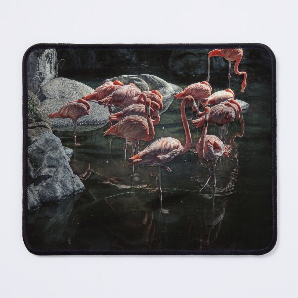 Item preview, flamingos designed and sold by jmpznz.