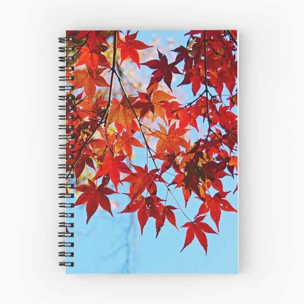 Item preview, Autumn colors - red maple leaves during autumn in Japan designed and sold by vanessal.