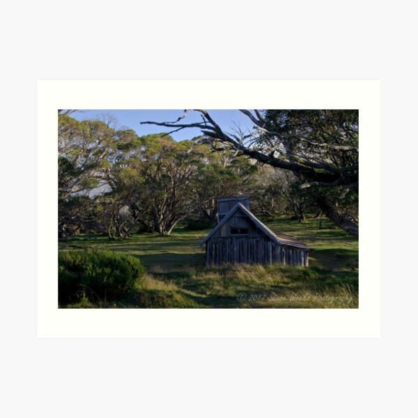 Wallace Hut Art Print