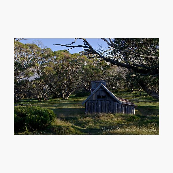 Item preview, Wallace Hut designed and sold by Steven Weeks.