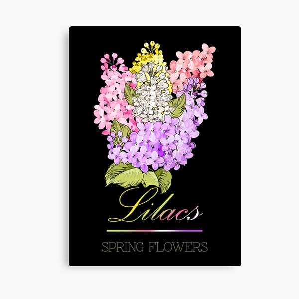 Lienzos: Flores Lilas Vintage | Redbubble