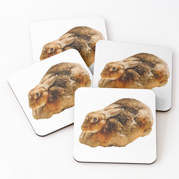 Item preview, Rex Rabbit designed and sold by Dalyndigital Photography.