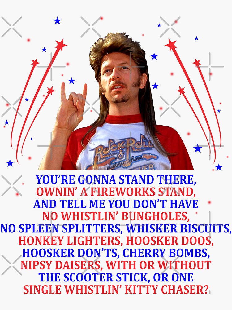 Merica USA Shirt, 2024 Joe Dirt Merica, USA Shirt, 4th of July, USA Party,