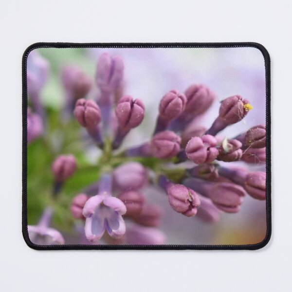 Item preview, Popping Purple LiLac Lovers designed and sold by CreativeDame.
