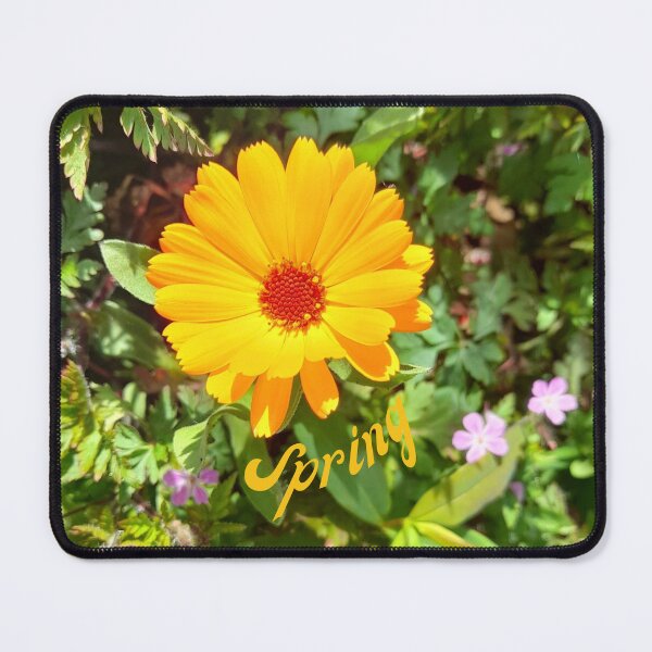 Item preview, A close-up study of a marigold, personally taken on a bright, sunny spring day...The amazing colors of Spring!! designed and sold by ditzy-designs.
