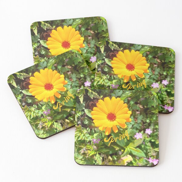 Item preview, A close-up study of a marigold, personally taken on a bright, sunny spring day...The amazing colors of Spring!! designed and sold by ditzy-designs.
