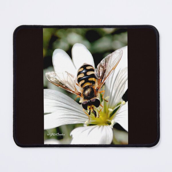 Item preview, Hover Fly. designed and sold by elGatCendrer.