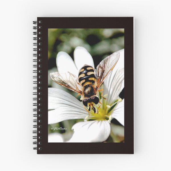 Item preview, Hover Fly. designed and sold by elGatCendrer.
