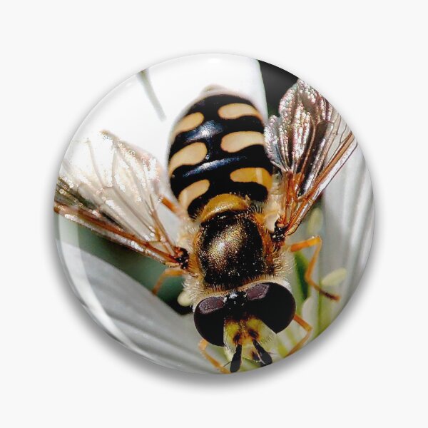 Item preview, Hover Fly. designed and sold by elGatCendrer.
