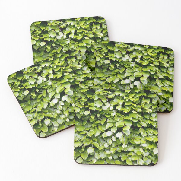 Item preview, Beech designed and sold by VanOostrum.