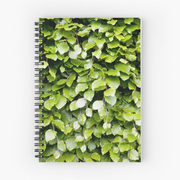 Item preview, Beech designed and sold by VanOostrum.