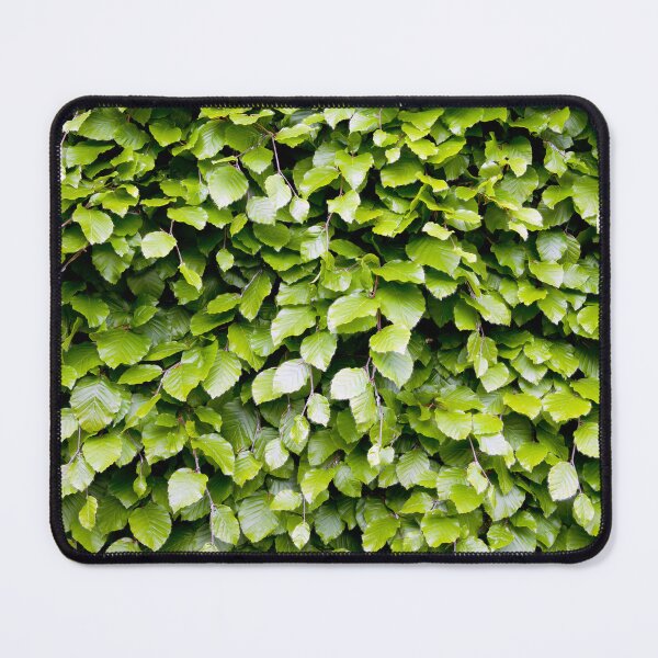 Item preview, Beech designed and sold by VanOostrum.