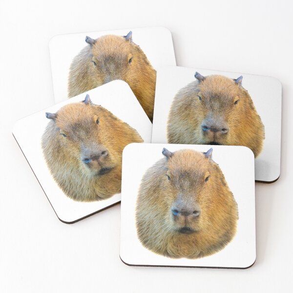Item preview, Capybara head designed and sold by Dalyndigital Photography.