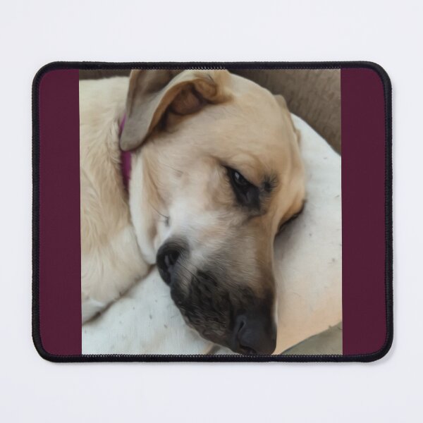 Item preview, Anatolian Shepheard resting designed and sold by PandLcreations.