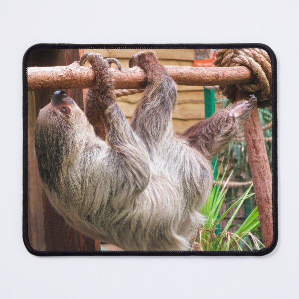 Item preview, The Sloth designed and sold by ejrphotography.