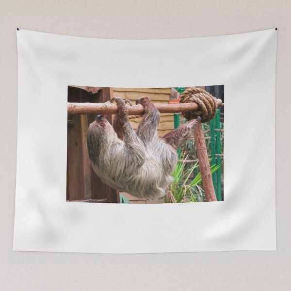 Item preview, The Sloth designed and sold by ejrphotography.