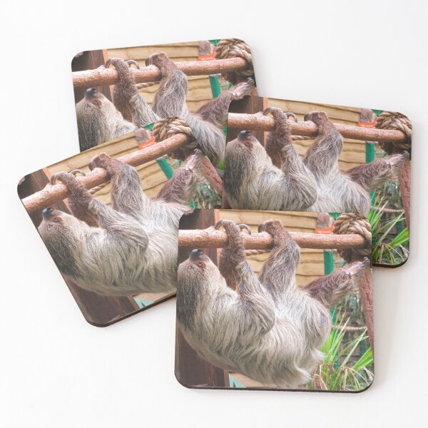 Item preview, The Sloth designed and sold by ejrphotography.