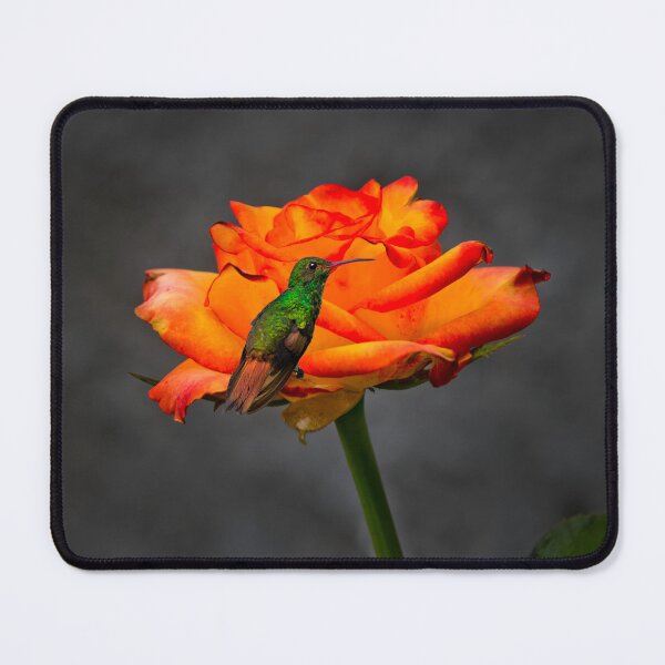 Item preview, Tom Loves our Roses designed and sold by alabca.