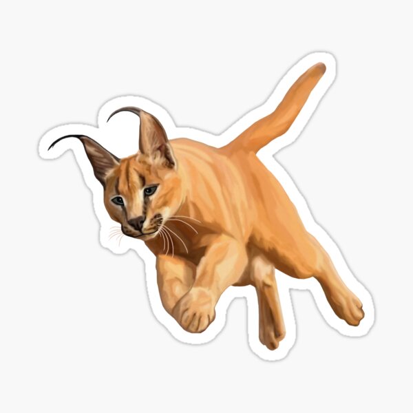 Pin on Gato Caracal