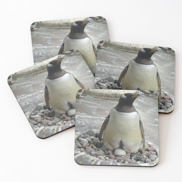 Item preview, Penguin on egg designed and sold by ejrphotography.