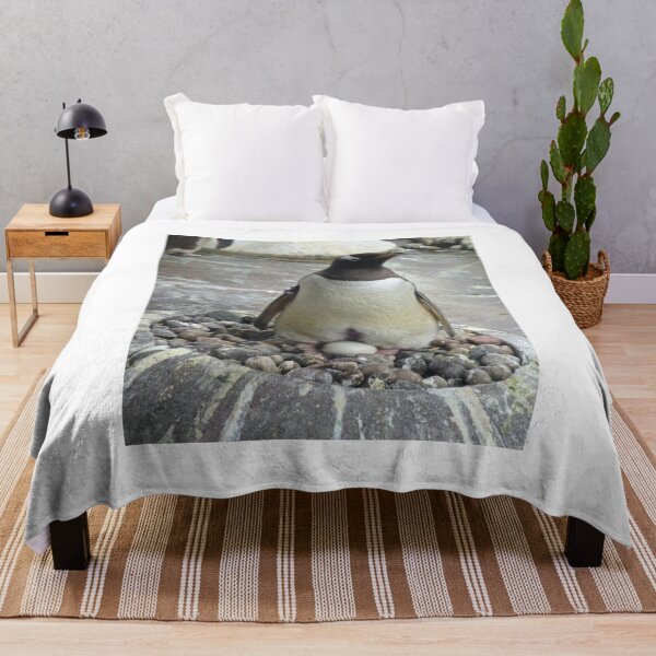 Item preview, Penguin on egg designed and sold by ejrphotography.