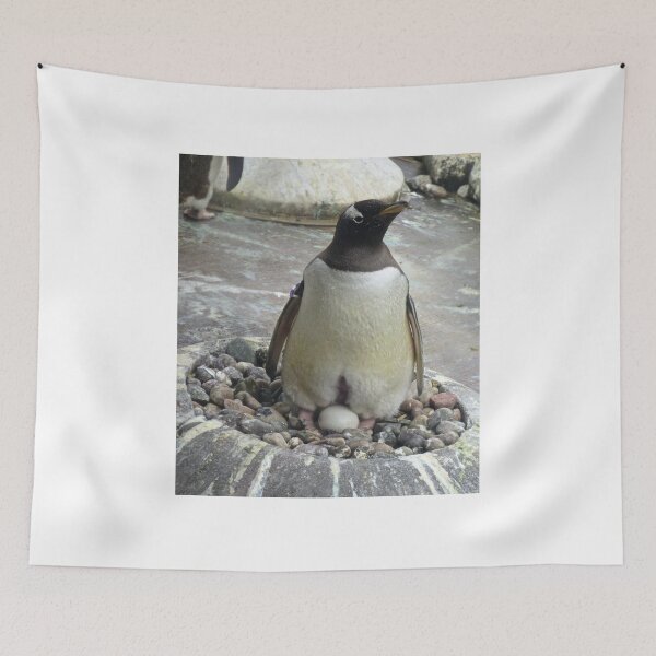 Item preview, Penguin on egg designed and sold by ejrphotography.