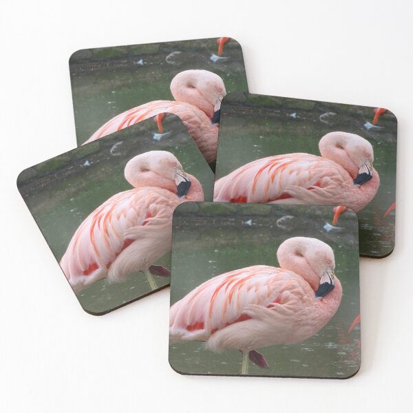 Item preview, Pink Flamingo designed and sold by ejrphotography.