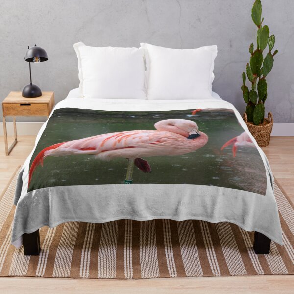 Item preview, Pink Flamingo designed and sold by ejrphotography.