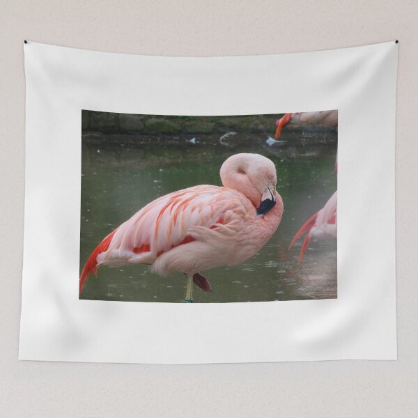 Item preview, Pink Flamingo designed and sold by ejrphotography.